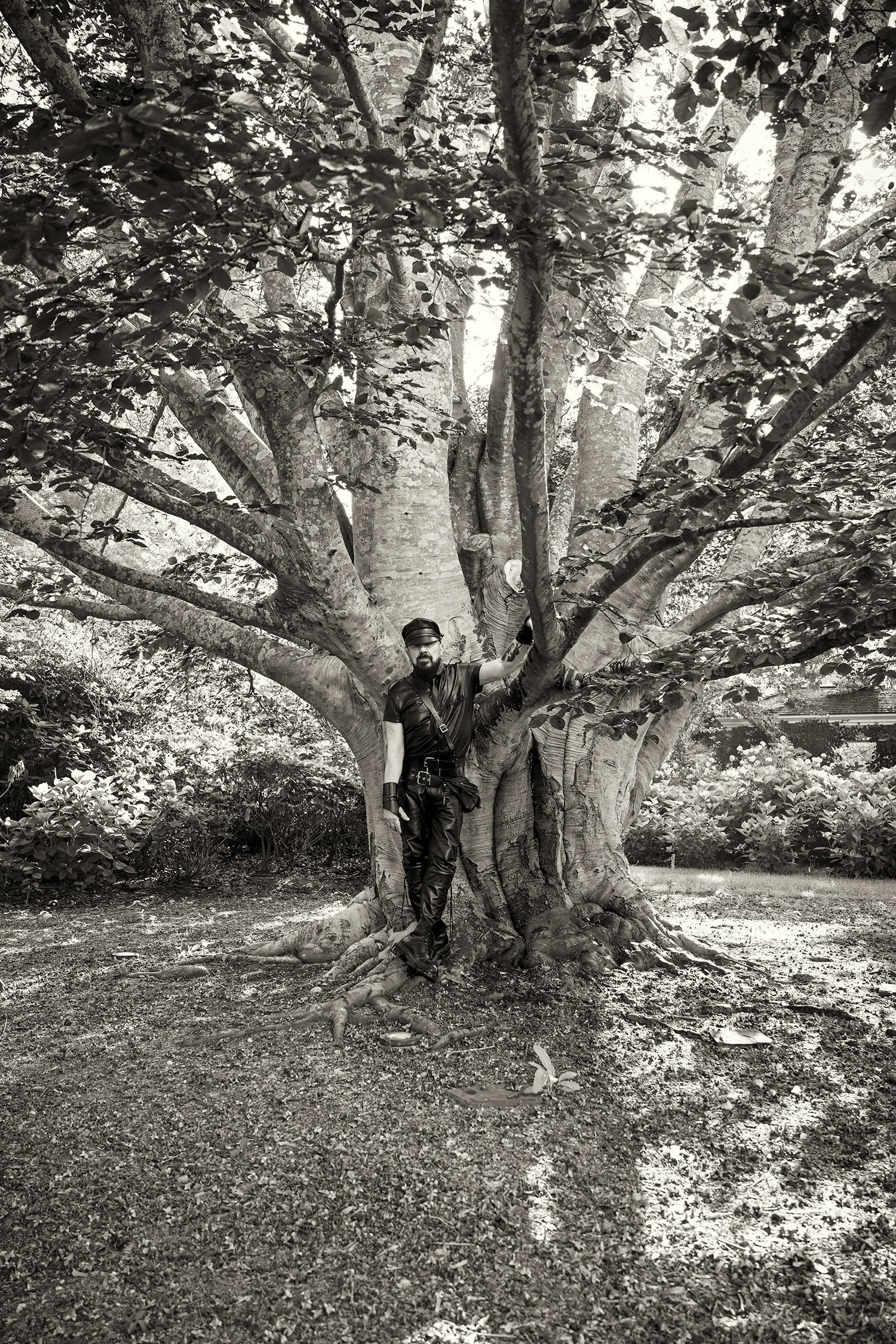 Peter Marino and his Copper Beech, Southampton NY